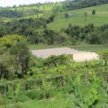 Epamig desenvolve ferramenta para auxiliar gestão sustentável de propriedades rurais