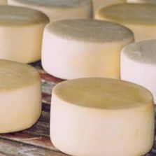 Produtores mineiros de queijo artesanal ganham força com criação de associação estadual