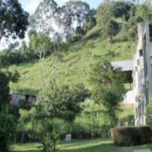 Hospital veterinário da UFV interrompe atendimento