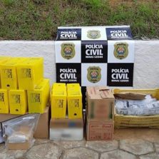 Semana Nacional de Combate às Drogas, PCMG incinera drogas em Viçosa e cidades da região