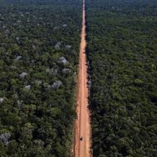 Governo publica edital para pavimentação da BR-319, no Amazonas