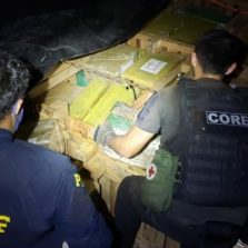 Polícia apreende 5 toneladas de maconha no Rio de Janeiro