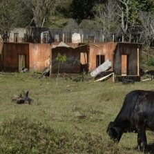 Decisões beneficiam profissionais atingidos por desastre de Mariana