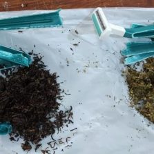 Policiais penais apreendem droga enviada via Sedex ao presídio de Viçosa