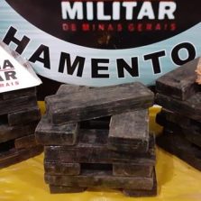 Tático Móvel apreende cerca de 37 quilos de maconha em Viçosa