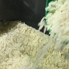Governo define critérios para cota de importação de arroz