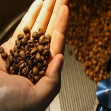 Exportações do agro mineiro crescem 9%