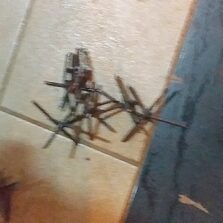 Perseguição e troca de tiros após assalto em Estevão de Araújo.