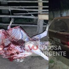 Ladrões de gado fogem da polícia e abandonam veículo após abaterem animal no Arruda em Viçosa.