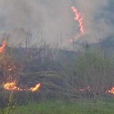 Adolescente é detido por incêndio criminoso no Santiago