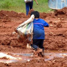 Brasil tem bons indicadores, mas ainda é foco de exploração infantil