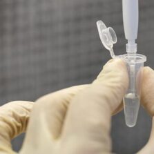 UFV participa de trabalho que identificou as variantes predominantes do coronavírus em Minas Gerais