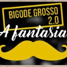 Fiscalização da prefeitura e Polícia Militar embargam festa clandestina em Viçosa
