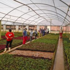 Curso para viveiristas do IEF na Zona da Mata