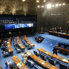Senado aprova proibição de armas para agressores de mulheres