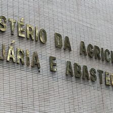 Ministério confirma casos de vaca louca em Mato Grosso e Minas Gerais