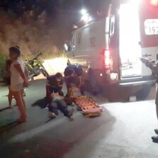 Casal fica ferido após atropelar cachorro na rodovia Coimbra/Ervália