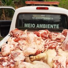 Teixeiras: Polícia fecha abatedouro clandestino em péssimas condições de higiene