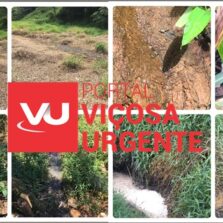 Suinocultura é multada em Coimbra