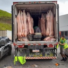 Ação integrada apreende grande quantidade de droga em Juiz de Fora