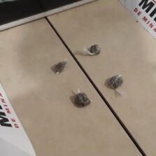 Suspeito preso com maconha no Escorpião em Viçosa