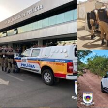 Preso no distrito Federal, suspeito de roubo em Minas Gerais