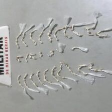 Ervália: Homem é preso com mais de 100 pedras de crack