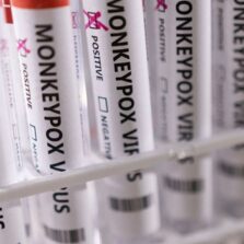 Brasil negocia compra de vacina contra varíola dos macacos