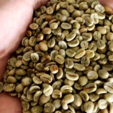 Mantiqueira de Minas conquista o mercado de cafés especiais