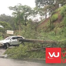 Veículo bate em poste no Bairro Silvestre
