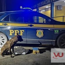 Viçosense é preso com 22 quilos de cocaína em Pouso Alegre