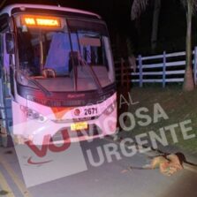 Em Araponga, acidente com ônibus deixa cavaleiro ferido
