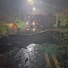 Em Viçosa: Chuva provoca queda de árvores e bloqueios em estradas