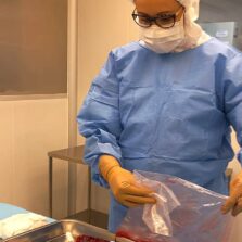 Pesquisa desenvolve curativos biológicos à base de placenta