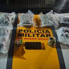 Morador de São Domingo do Prata é preso com drogas em Ubá