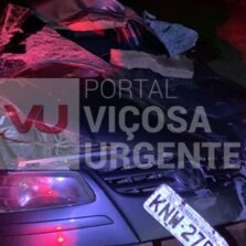 Rosário da Limeira/ Ervália: Cavalo na pista provoca acidente com vítimas