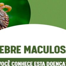 Casos suspeitos de febre maculosa em Viçosa preocupam