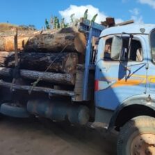 Polícia Investiga desvio de madeira da UFV