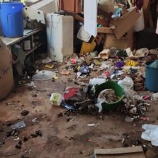 Idosa é presa por maus-tratos a animais em Viçosa