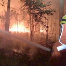 Viçosa: Corpo de Bombeiros combate chamas que consumiram área de três campos de futebol