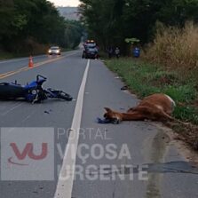Animal na Rodovia Provoca Acidente Grave no Canta Galo em Ponte Nova