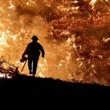 Metodologia com IA identifica focos de incêndio com antecedência