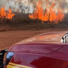 Onda de calor: Bombeiros estão preparados para possível aumento de incêndios em vegetação