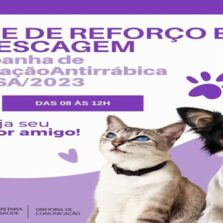 Antirrábica: vacinação de 2ª dose para filhotes e repescagem 2023