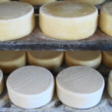 Epamig recebe primeiro Dia de Campo dedicado aos queijos artesanais do Vale do Jequitinhonha