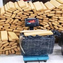 PCMG apreende cerca de 400 quilos de maconha em operação na RMBH
