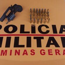 Homem é Preso por Porte Ilegal de Arma na Rodovia MGC 120 em Dona Euzébia