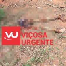 Ossada Humana Encontrada Próximo do Parque do Cristo em Viçosa