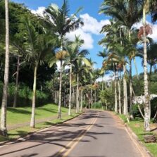 UFV Fecha Recanto das Cigarras para Visitas Até o Final de Janeiro