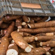 UFV Impulsiona Agricultura Familiar com Novo Edital de Compra de Alimentos